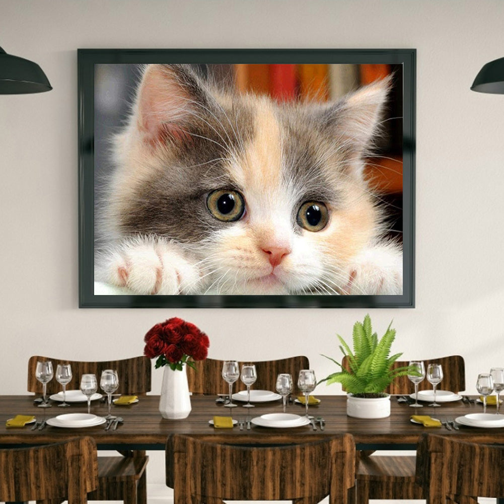 Cat - Full Round Drill Diamond Painting 40*30CM