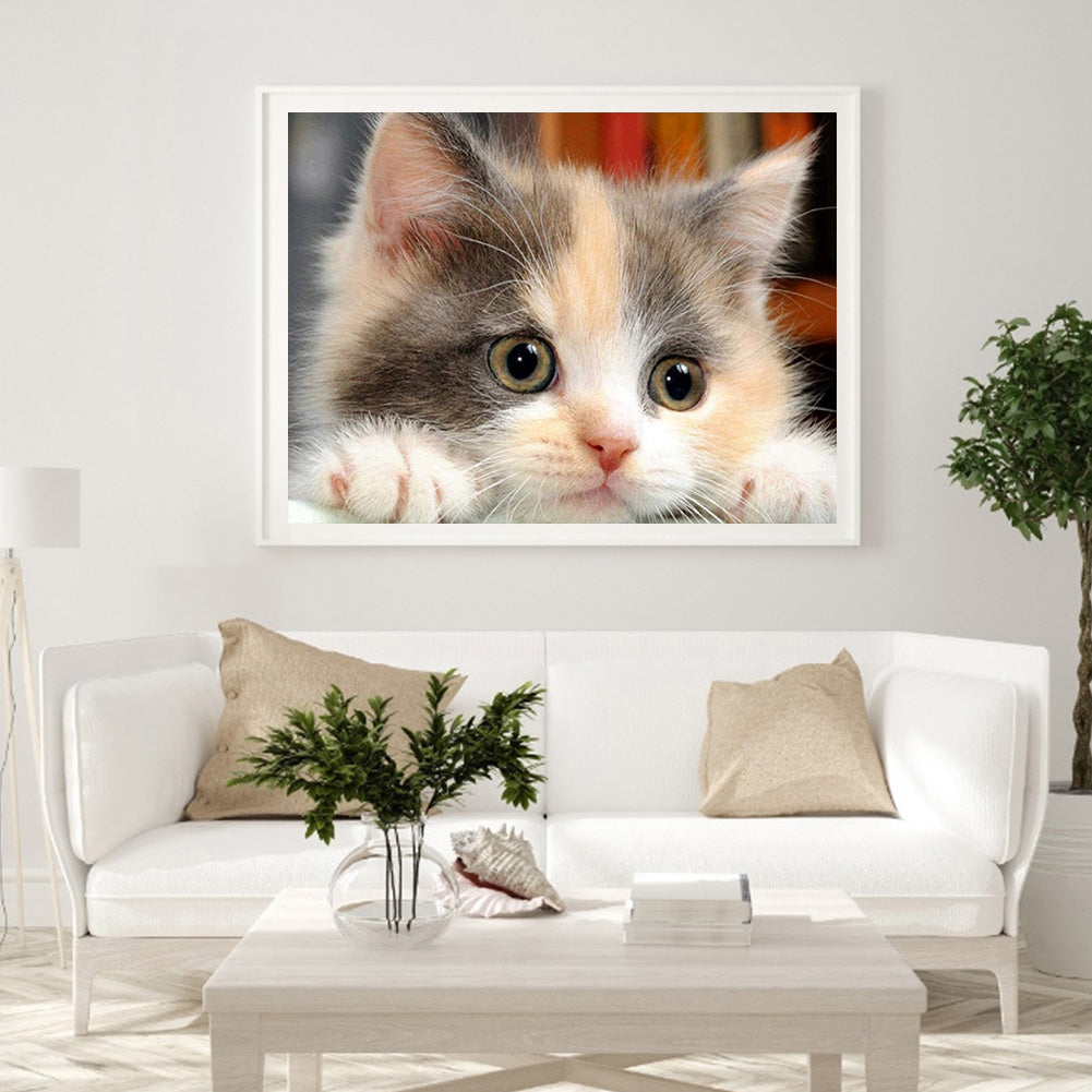 Cat - Full Round Drill Diamond Painting 40*30CM