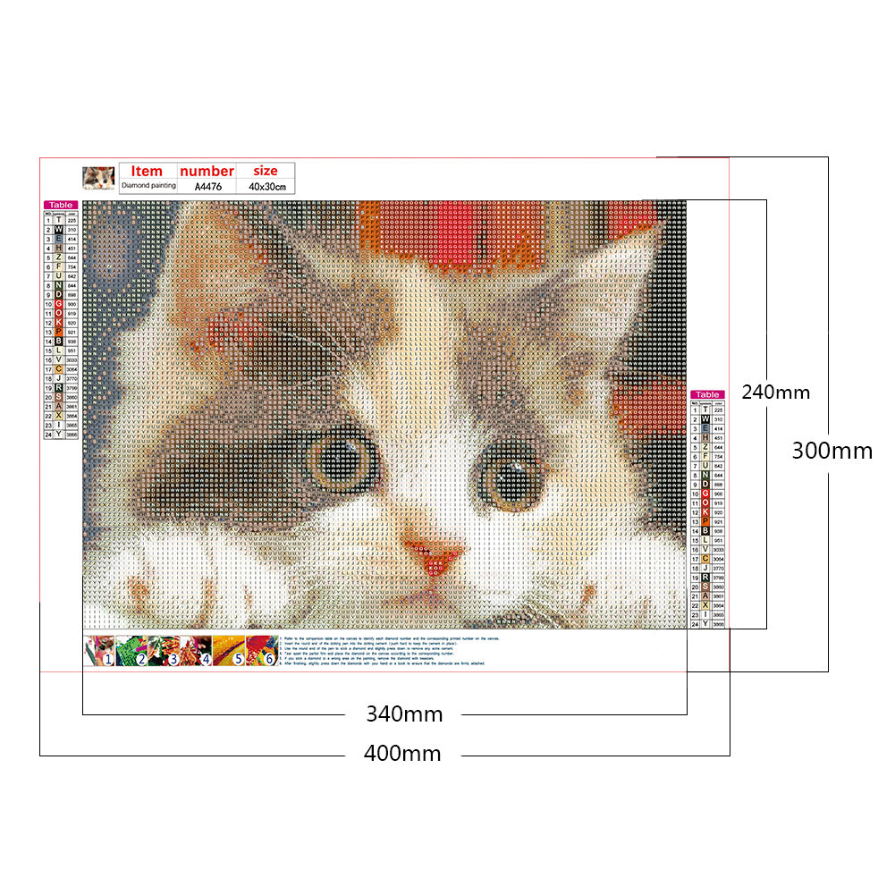 Cat - Full Round Drill Diamond Painting 40*30CM