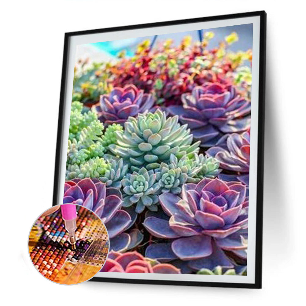 Fleshy Plant - Full Round Drill Diamond Painting 30*40CM