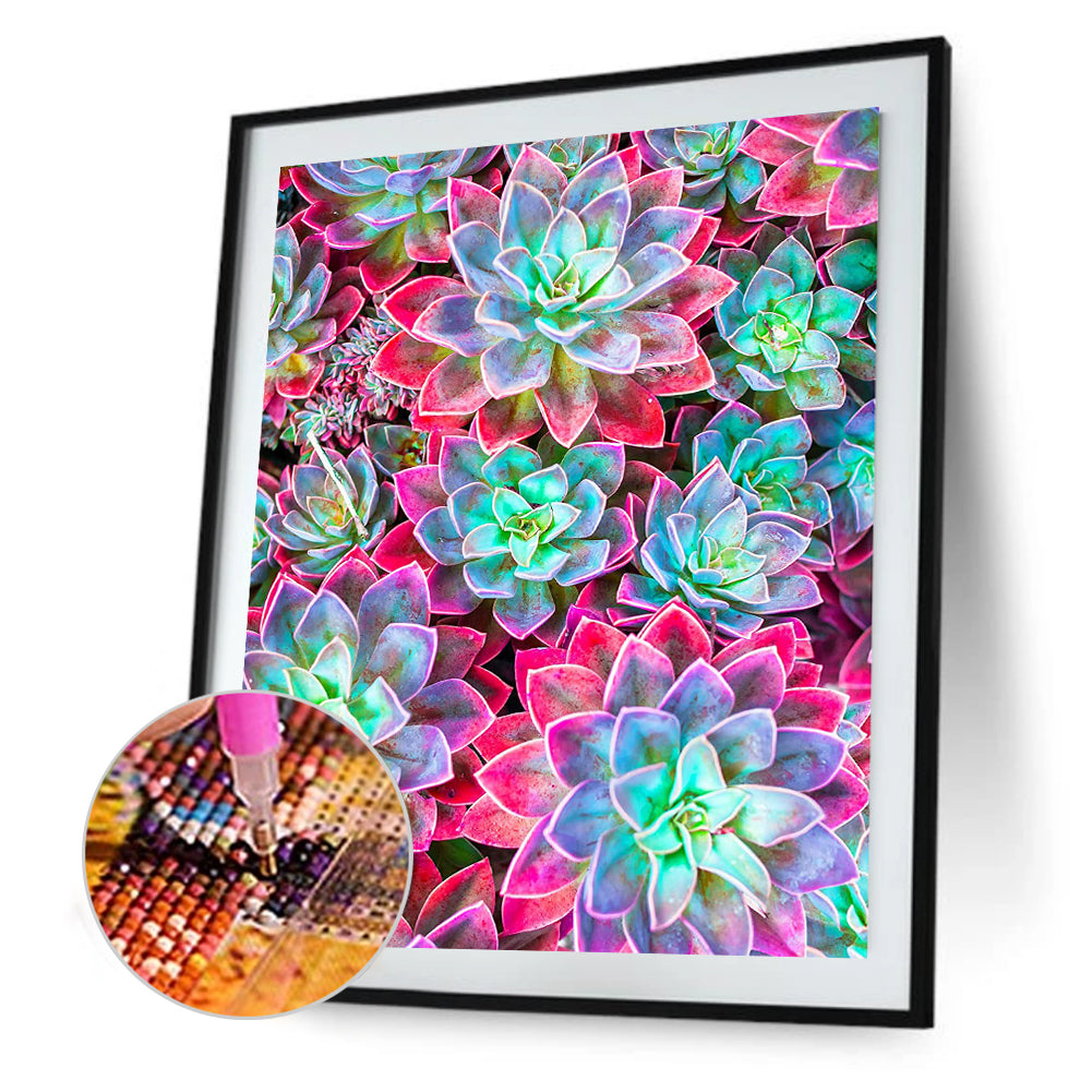Color Succulents - Full Round Drill Diamond Painting 30*40CM