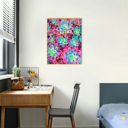 Color Succulents - Full Round Drill Diamond Painting 30*40CM