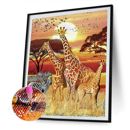 Giraffe - Full Round Drill Diamond Painting 30*40CM