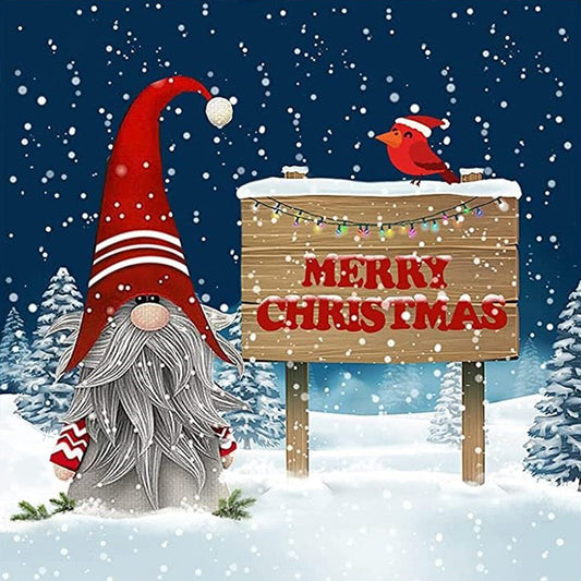 Gnome - Full Round Drill Diamond Painting 30*30CM