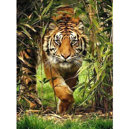 Tiger - Full Round Drill Diamond Painting 50*60CM