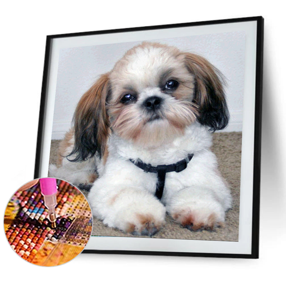 Puppy - Full Square Drill Diamond Painting 50*50CM