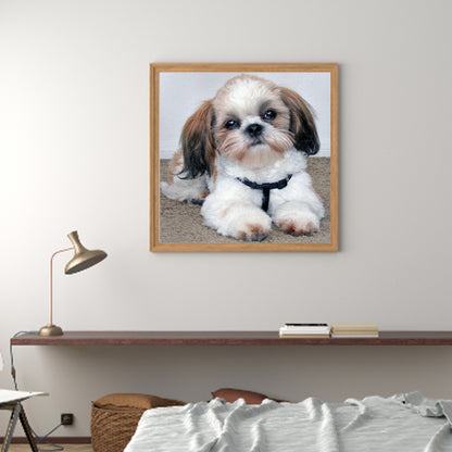 Puppy - Full Square Drill Diamond Painting 50*50CM