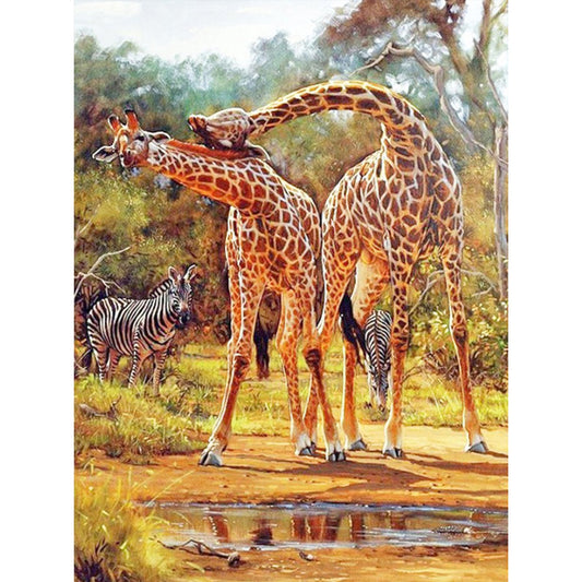 Giraffe - Full Square Drill Diamond Painting 50*60CM