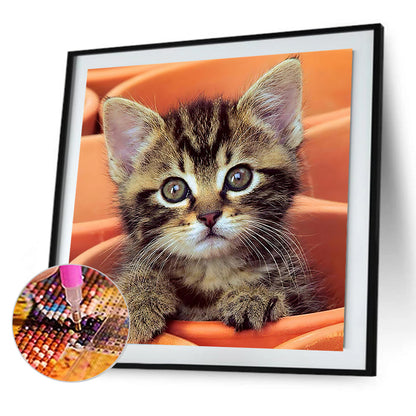 Cute Cat - Full Round Drill Diamond Painting 30*30CM