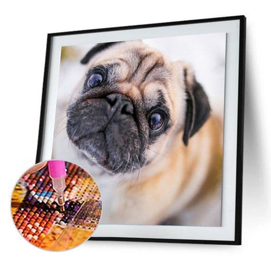 Dog - Full Round Drill Diamond Painting 30*30CM