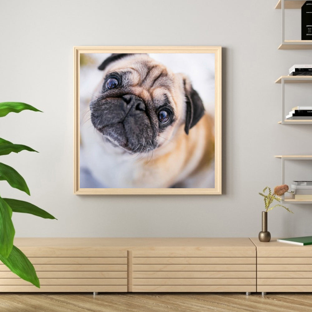 Dog - Full Round Drill Diamond Painting 30*30CM