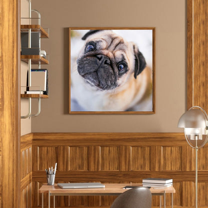 Dog - Full Round Drill Diamond Painting 30*30CM