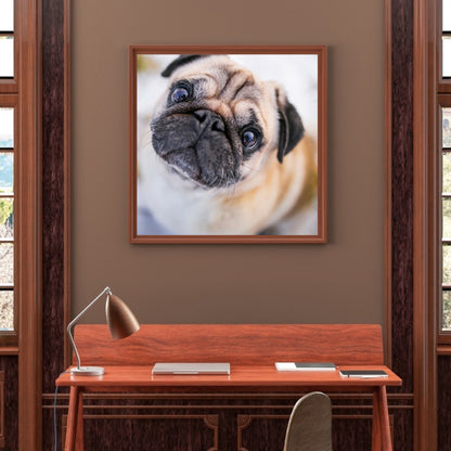 Dog - Full Round Drill Diamond Painting 30*30CM