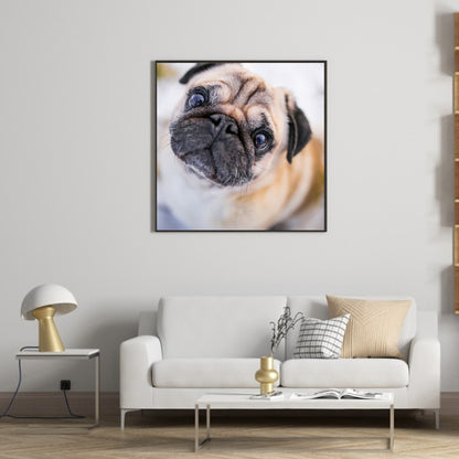 Dog - Full Round Drill Diamond Painting 30*30CM