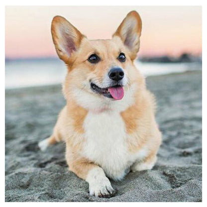 Dog - Full Round Drill Diamond Painting 30*30CM