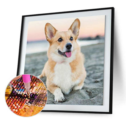 Dog - Full Round Drill Diamond Painting 30*30CM