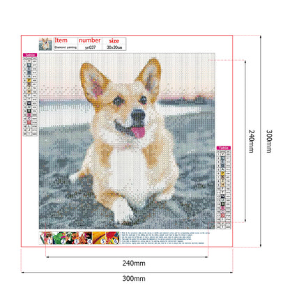 Dog - Full Round Drill Diamond Painting 30*30CM