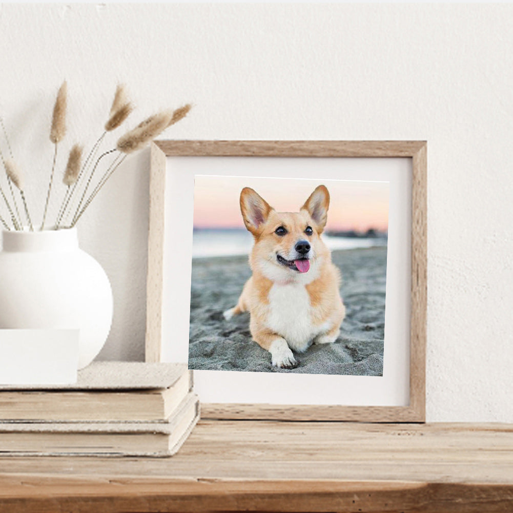 Corgi - Full Round Drill Diamond Painting 40*40CM