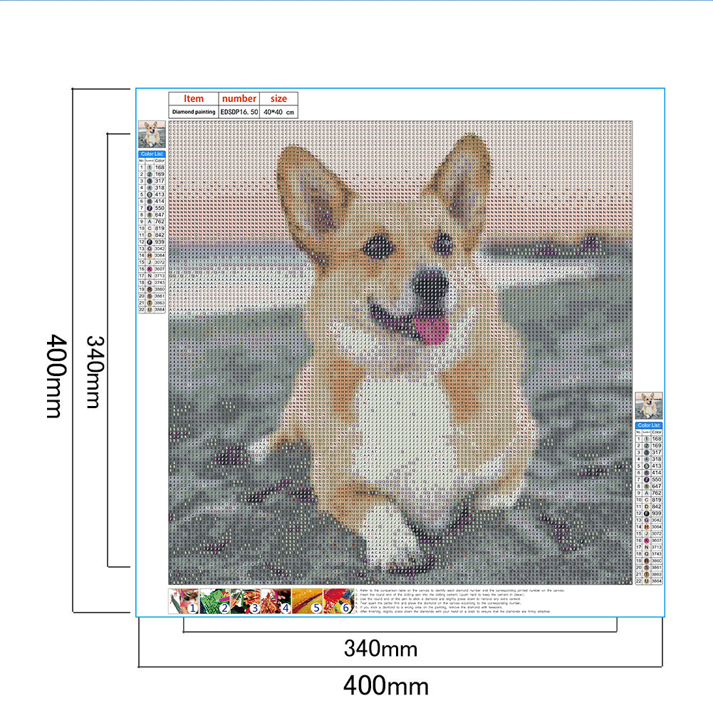 Corgi - Full Round Drill Diamond Painting 40*40CM