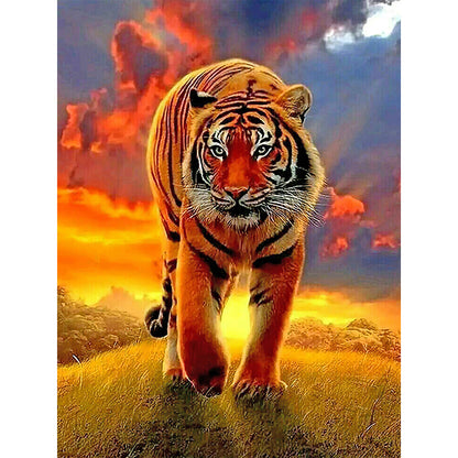 Tiger - Full Round Drill Diamond Painting 30*40CM