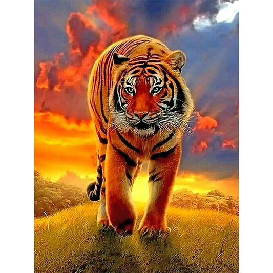 Tiger - Full Round Drill Diamond Painting 30*40CM