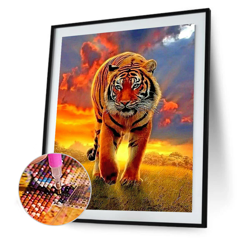 Tiger - Full Round Drill Diamond Painting 30*40CM