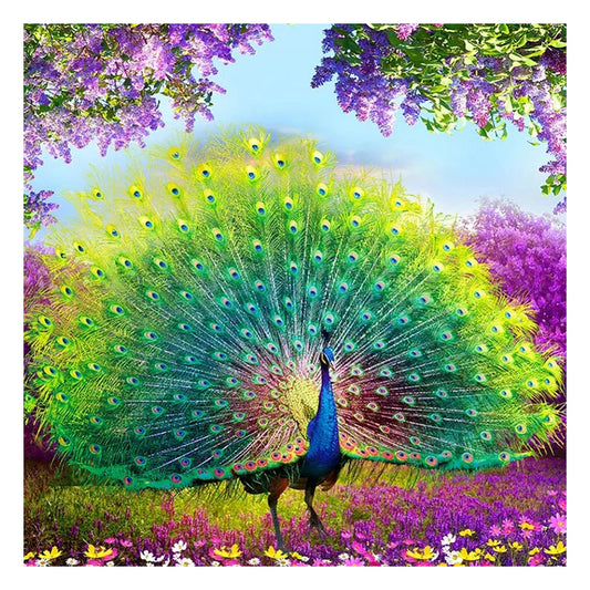 Peacock - Full Square Drill Diamond Painting 35*35CM