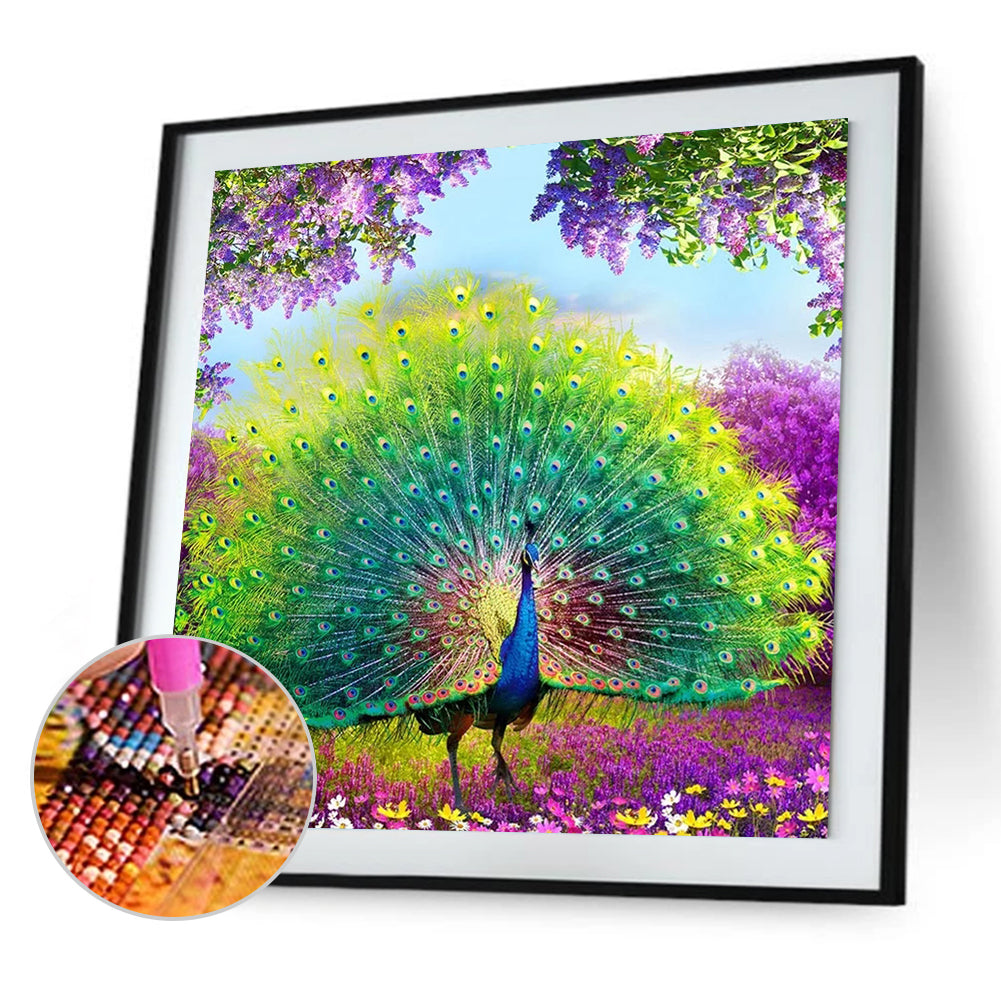 Peacock - Full Square Drill Diamond Painting 35*35CM