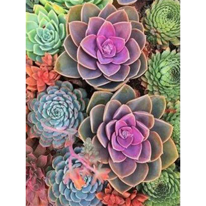 Succulent Plant - Full Round Drill Diamond Painting 30*40CM