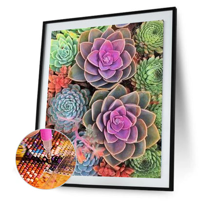 Succulent Plant - Full Round Drill Diamond Painting 30*40CM