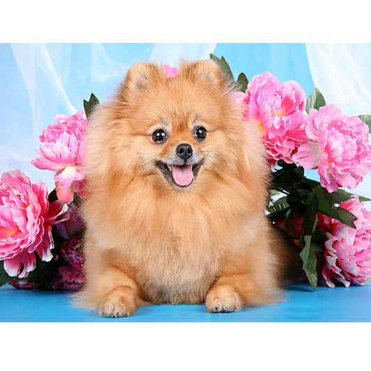 Flower Dog - Full Square Drill Diamond Painting 40*30CM