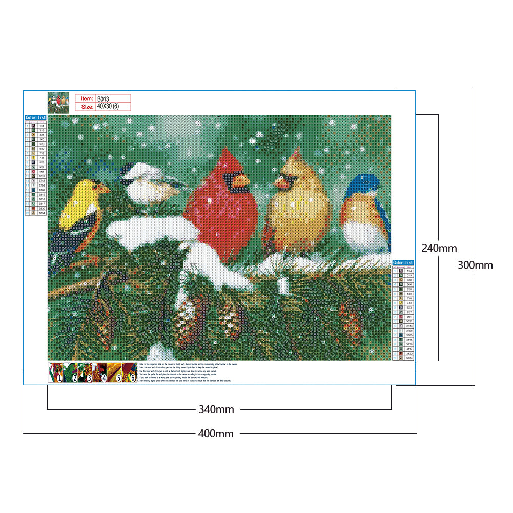 Bird - Full Round Drill Diamond Painting 40*30CM