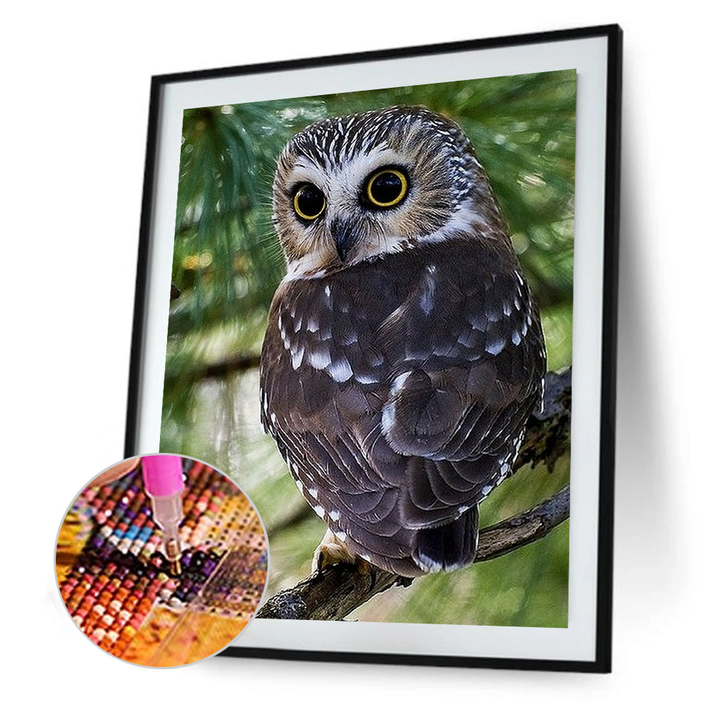 Owl - Full Round Drill Diamond Painting 30*40CM