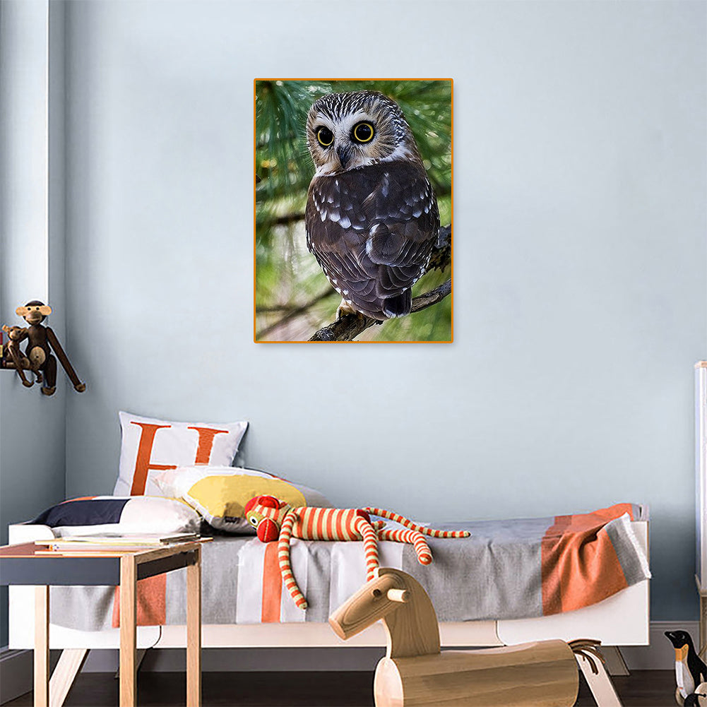 Owl - Full Round Drill Diamond Painting 30*40CM