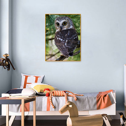 Owl - Full Round Drill Diamond Painting 30*40CM