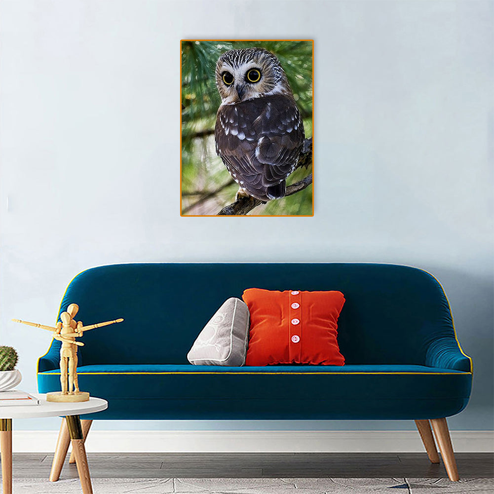 Owl - Full Round Drill Diamond Painting 30*40CM