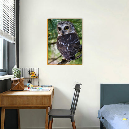 Owl - Full Round Drill Diamond Painting 30*40CM