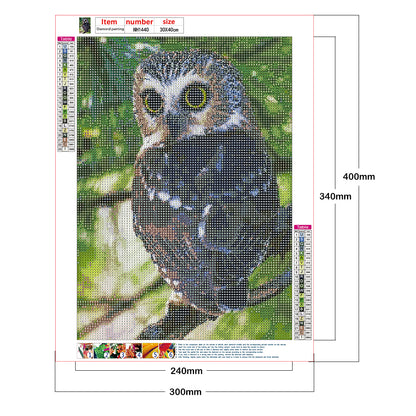 Owl - Full Round Drill Diamond Painting 30*40CM