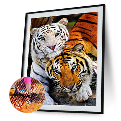 Tiger - Full Round Drill Diamond Painting 30*40CM