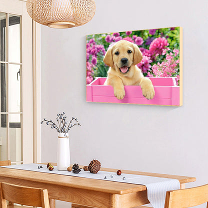 Dog - Full Round Drill Diamond Painting 40*30CM