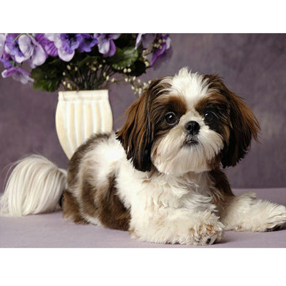 Puppy - Full Round Drill Diamond Painting 50*40CM