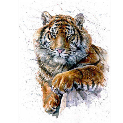 Tiger Animal - Full Square Drill Diamond Painting 40*50CM