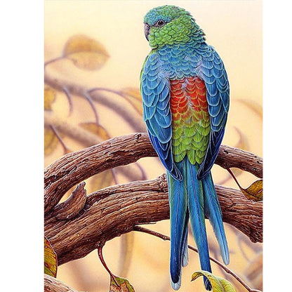 Parrot - Full Square Drill Diamond Painting 40*50CM