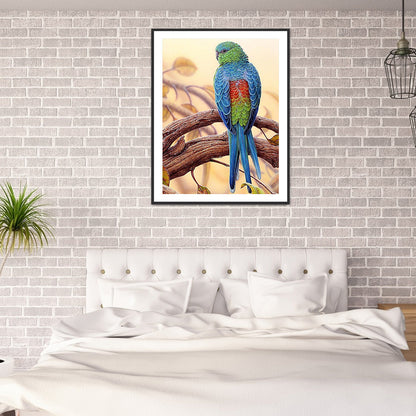 Parrot - Full Square Drill Diamond Painting 40*50CM