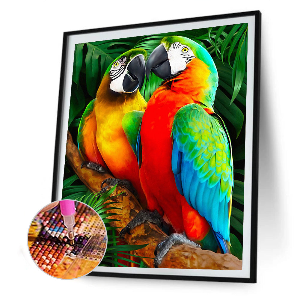 Parrot - Full Square Drill Diamond Painting 50*60CM