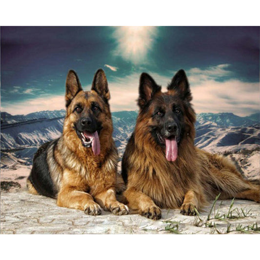 Dog - Full Round Drill Diamond Painting 60*50CM