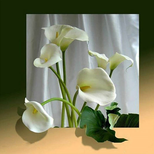 White Calla Lily - Full Round Drill Diamond Painting 30*30CM