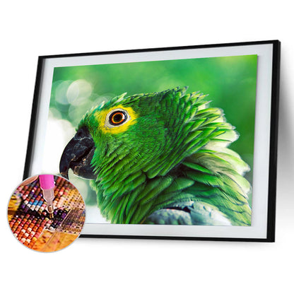 Parrot - Full Square Drill Diamond Painting 50*40CM