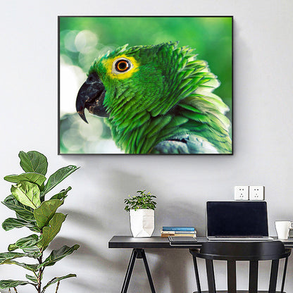 Parrot - Full Square Drill Diamond Painting 50*40CM