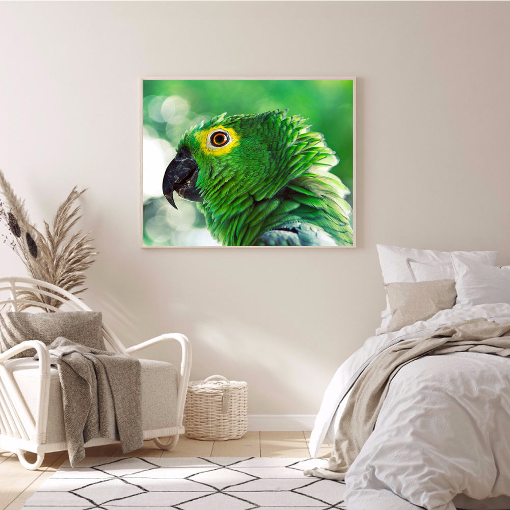 Parrot - Full Square Drill Diamond Painting 50*40CM